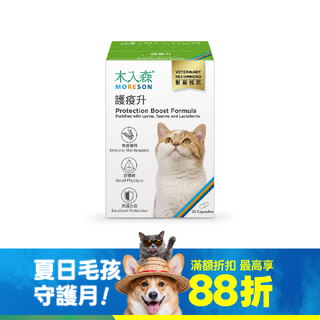 木入森 貓咪護疫升 30顆｜貓咪離胺酸